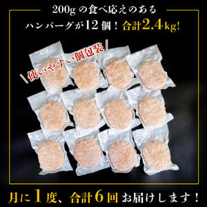 ハンバーグ 四万十ポーク 入り 2.4kg 200g 12個入 6ヶ月 定期便 化学調味料 不使用 ﾊﾝﾊﾞｰｸﾞ 保存料 無添加 ﾊﾝﾊﾞｰｸﾞ 高知県 須崎市 ﾊﾝﾊﾞｰｸﾞ 合挽き ﾊﾝﾊﾞｰｸ