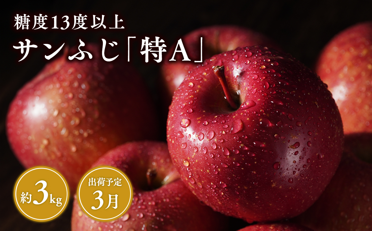 3月 サンふじ約3kg 糖度13度以上 【青森県 平川市 森山商店 】