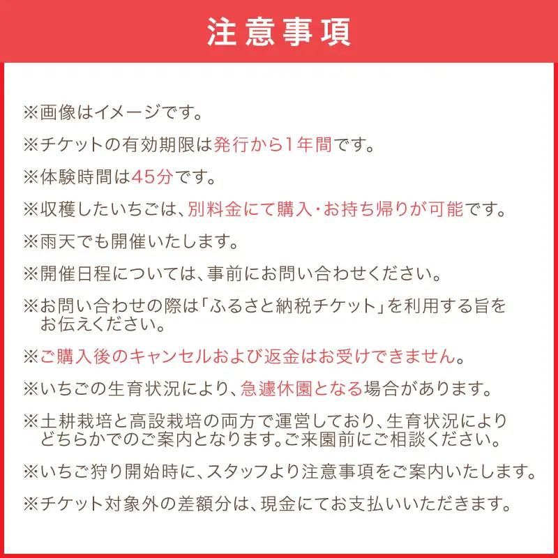 【見つけて、摘んで、食べて！】希少いちご「ほしうらら」を摘みに行こう いちご狩り 体験チケット（大人1名）【121E-001】