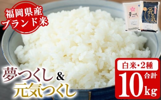 《白米》福岡県産米食べ比べセット「夢つくし」と「元気つくし」(2種計10kg・各5kg×1袋) 白米 米 お米 おこめ ごはん ご飯 常温 福岡県産 ブランド米 ゆめつくし げんきつくし 常温 常温保存 おにぎり おむすび お弁当 ライス【朝ごはん本舗】as05-083