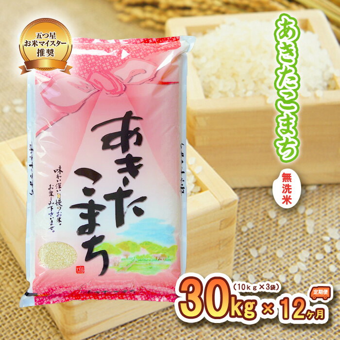 【ふるさと納税】米 定期便 12ヶ月 あきたこまち 無洗米 30kg(5kg×6) お米 精米 白米 こめ コメ おこめ ごはん お米マイスター 推奨 ブランド米 常温 国産 岩手県 岩手 盛岡市産 定期 お楽しみ 12回