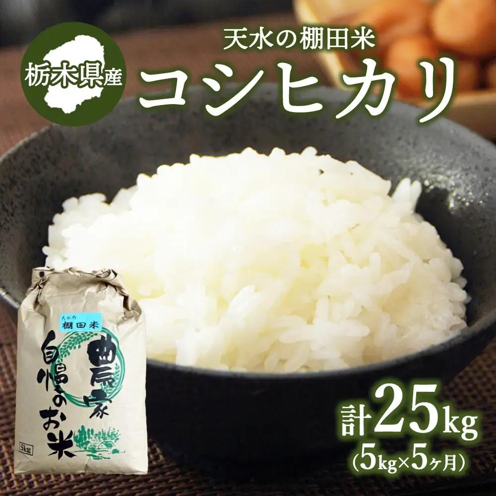 50-17【11月下旬発送】【5か月定期便】天水の棚田米  コシヒカリ 5kg