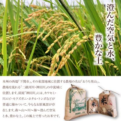 ふるさと納税 下関市 【先行予約】 令和8年産 こしひかり 5kg 山口県 下関市産 MD002 |  | 01