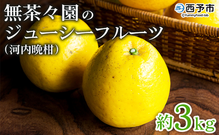  ＜無茶々園のジューシーフルーツ（河内晩柑）約3kg＞果物 かわちばんかん みかん ミカン 蜜柑 柑橘 期間限定 季節限定 食べて応援 特産品 愛媛県 西予市 【常温】『2026年4月～7月上旬迄に順次出荷予定』AMC0008