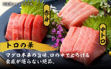 対馬産 本マグロ 700g（赤身400g、中トロ300g） ≪対馬市≫【桐谷商店】 トロの華 対馬 新鮮 マグロ トロ 鮪 刺身 鮮度抜群[WAQ047]