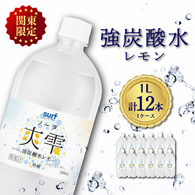 
＜毎月定期便＞＜関東のみお届け＞ 強 炭酸水レモン 1L 12本 計12L サーフ爽雫 ソーダ全3回【4055693】
