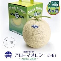 【毎月定期便】アローマメロン(小玉) 1玉 全6回
