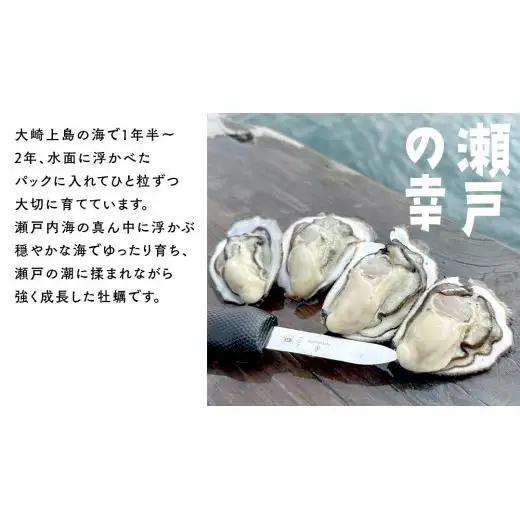 殻付き生牡蠣 冷蔵 約3kg ( 加熱用 ) 26～33個程度 【1月中旬～3月発送】 瀬戸内の離島から届く牡蠣  