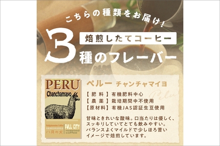 【栽培期自家焙煎コーヒー豆　お試しセット（200gx3種）八月の犬　珈琲豆　ドリップ　飲み比べ　ブホペ コーヒー 珈琲 お試しコーヒー コーヒー飲み比べ コーヒーセット コーヒータイム コーヒーギフト