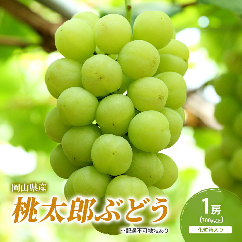 【ふるさと納税】ぶどう 2026年 先行予約 桃太郎ぶどう 1房(700g以上) 化粧箱入り ブドウ 葡萄 岡山県産 国産 フルーツ 果物 ギフト　お届け：2026年7月下旬～2026年9月上旬
