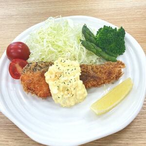 訳あり 銀鮭切身(甘塩)約3kg / 宮城県 女川町【配送不可地域：離島】【1641035】