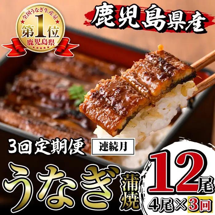 i1083-A ＜定期便・計3回(連続月)＞鹿児島県産うなぎ蒲焼4尾セット＜(約140g×4・計約560g)×全3回＞ うなぎ 鰻 ウナギ 4尾 蒲焼き 国産 鹿児島県産 焼きたて 生産量日本一 真空パック おかず 晩御飯 特別な日   定期便 【薩摩川内鰻】