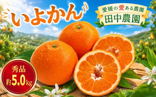 【2027年1月上旬から順次発送】伊予柑 いよかん 約5kg  秀品 柑橘類 先行予約 贈答用 ギフト フルーツ 柑橘類 先行予約 果物 フルーツ みかん イヨカン 宮内伊予柑 人気 おすすめ 愛媛 松山 田中農園