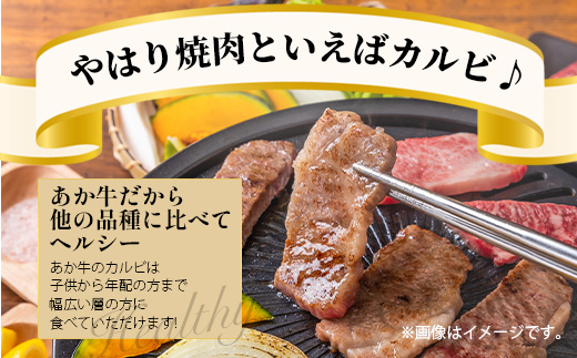 くまもとあか牛 カルビ 焼肉用 計500g カルビ 焼肉用 計500g 熊本県 ブランド牛 肉 ヘルシー 赤身 牛肉 焼き肉 やきにく やき肉 BBQ 炒め物 ごちそう 肉 国産 ジューシー カルビ 