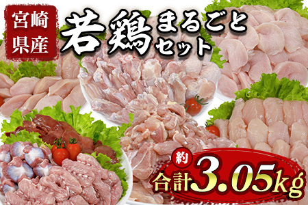 宮崎県産若鶏まるごとセット 約3.05kg 国産 鶏 肉 精肉 モモ もも肉 使いやすい パック 真空冷凍 切り身 選べる数量 お弁当 惣菜 からあげ 照り焼き 数量限定 BBQ バーベキュー 鶏ムネ 鶏むね 鳥モモ ささみ ササミ 小分け