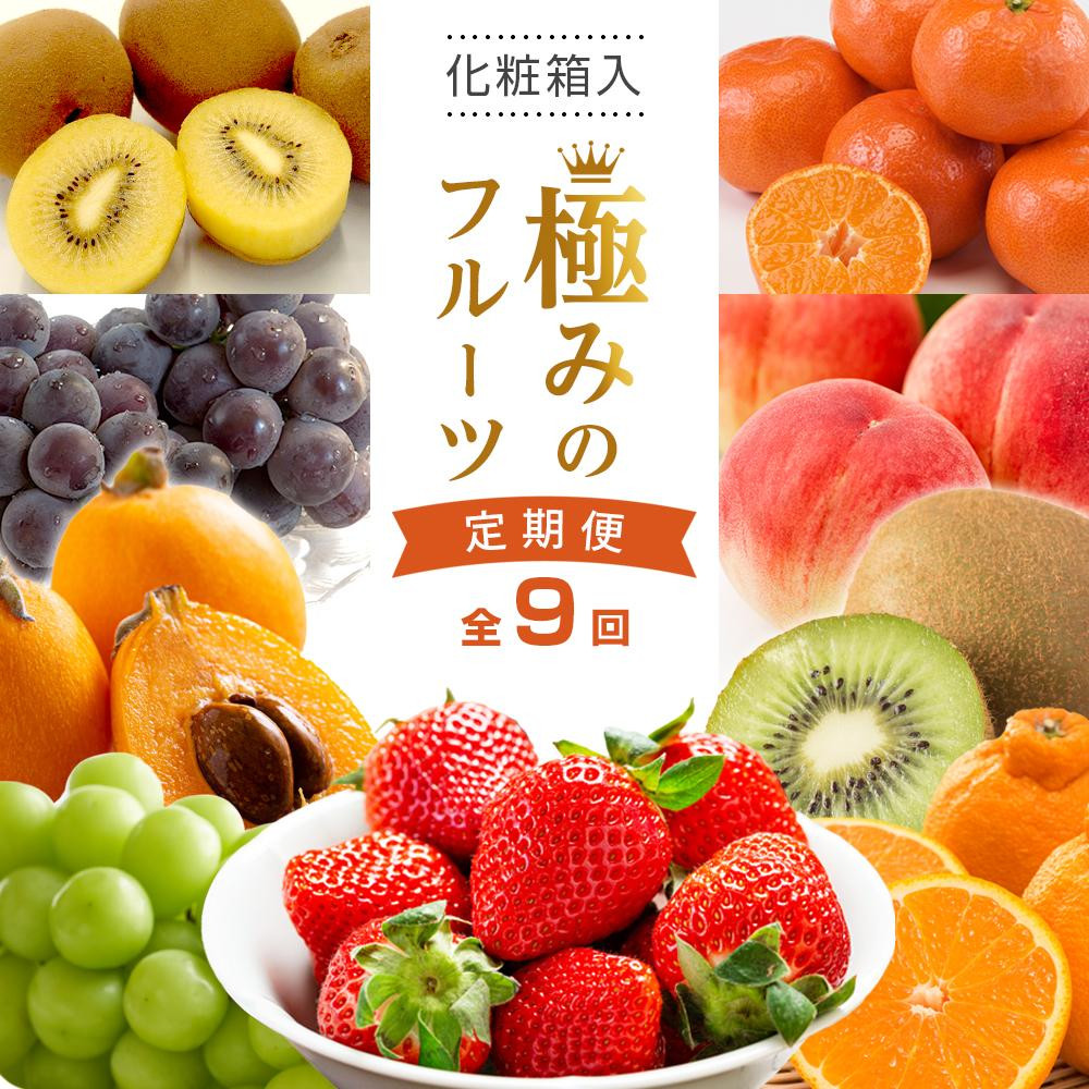 
            【全9回】極みのフルーツ定期便 (化粧箱入り)
          