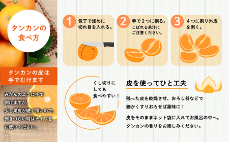 《 先行予約 》【2024年2月中旬～3月中旬頃順次発送】種子島産タンカン(ご家庭用)約2.5kg（12～18玉）【南種子町果樹部会】