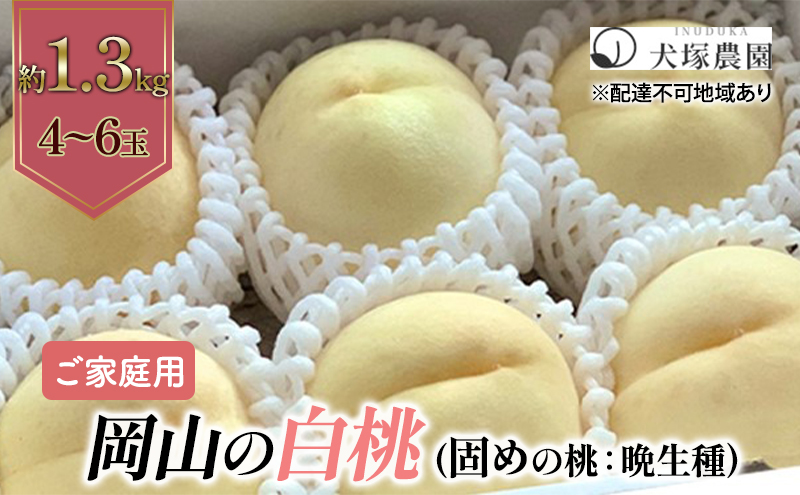 固めの桃 2025年 先行予約 ご家庭用 岡山 の 白桃 （晩生種）約1.3kg 4～6玉 岡山県 フルーツ もも 桃 モモ ピーチ 人気 新鮮 フルーツ 桃 もも 桃 モモ 訳あり くだもの 桃 もも 果物 フルーツ 桃 もも