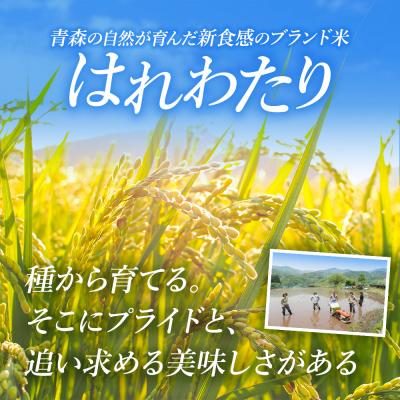 ふるさと納税 弘前市 米 令和7年産 青森県産はれわたり(らく米・無洗米)3kg【白米】|24_tzn-020301 |  | 03