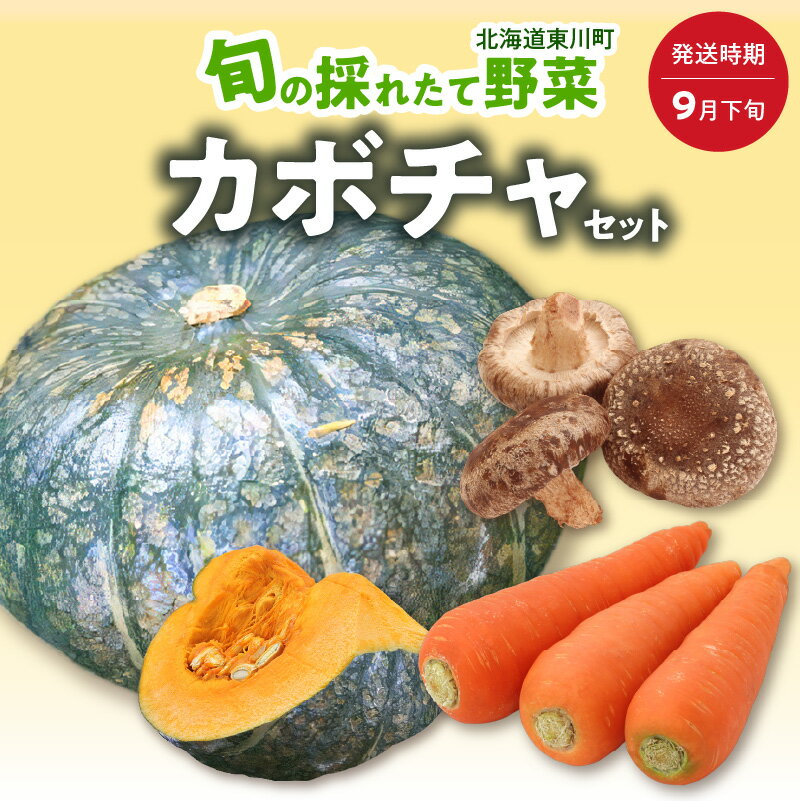 【ふるさと納税】【9月下旬発送】旬の採れたて野菜「カボチャセット」