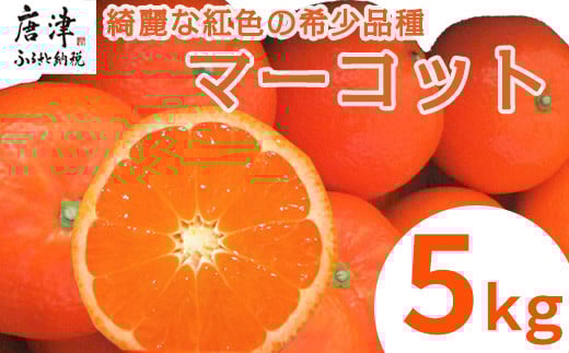 『先行予約』【令和8年2月中旬発送】マーコット（ハウス栽培）唐津産 5kg みかん ミカン 果物 フルーツ