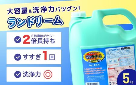 2倍濃縮 洗濯洗剤 ランドリーム 5kg (5kg×1個) 詰め替え | 洗濯洗剤 洗剤 洗濯洗剤 洗剤 洗濯洗剤 