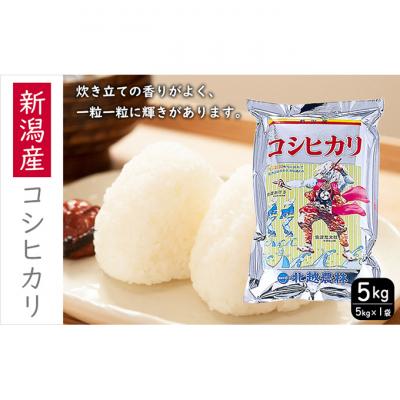ふるさと納税 新潟市 新潟産コシヒカリ 5kg[54071296]