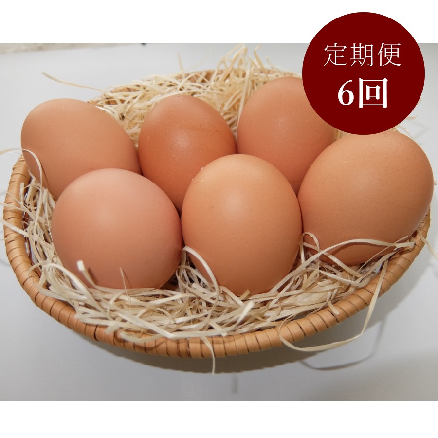 ＜山田養鶏＞「赤玉元気卵」30個【6ヵ月定期便】