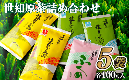 
                  【 産地直送 】 世知原 茶 詰め合わせ セット 500g ( 100g × 5 ) 希少 国産 日本茶 緑茶 本場 小林製茶 長崎県 佐世保市
                
