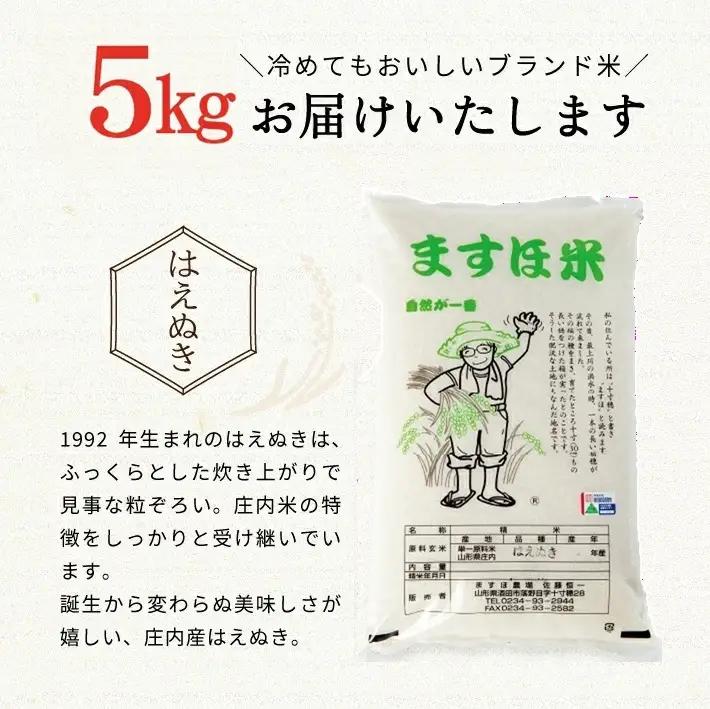 SG0160　11月中旬発送開始／【6回定期便】令和8年産【精米】特別栽培米『はえぬき』5kg×6回(計30kg) ［減農薬・減化学肥料］ MA