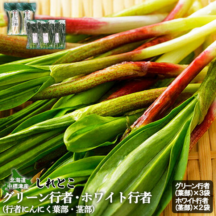 【ふるさと納税】行者にんにく グリーン行者 葉部 3袋 ホワイト行者 茎部 2袋 計5袋 オンライン 申請 ふるさと納税 北海道 中標津 行者ニンニク 幻の山菜 山菜 山の幸 野菜 疲労回復 健康効果 長寿 体力増強 ダイエット 焼肉【20010】