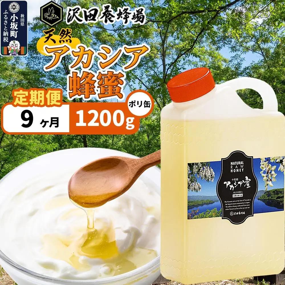 《定期便9ヶ月》はちみつ 天然十和田 アカシア蜂蜜 1200g ポリ缶
