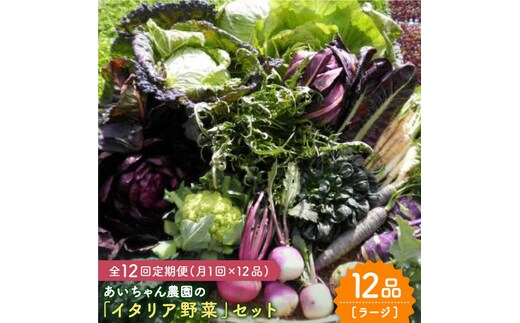 
										
										【12品×12回定期便】あいちゃん農園の「イタリア野菜」セット（ラージ） [FAA022]
									