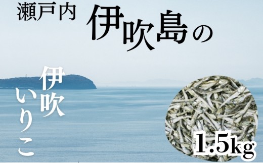 
                  伊吹いりこ いりこ 1.5kg 煮干し にぼし カタクチイワシ いわし 鰯 伊吹島 出汁 だし うどん出汁 さぬきうどん 味噌汁 煮物 鍋 乾物 魚介類 魚貝 冷凍保存 小袋 保存食 おつまみ お取り寄せ 観音寺観光開発 香川県 観音寺市
                