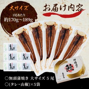 鹿児島県産 伊崎田のうなぎ蒲焼 大＜170g以上＞× 5尾(計850g以上) うなぎ 鰻 ウナギ 国産 鹿児島県産 九州産 蒲焼き 冷凍 うな重 ひつまぶし c6-081