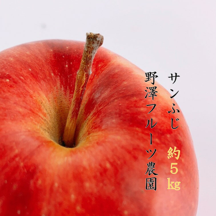 【ふるさと納税】先行予約 276 りんご 【贈答用】サンふじ5kg 11月中下旬以降発送【野澤フルーツ農園】