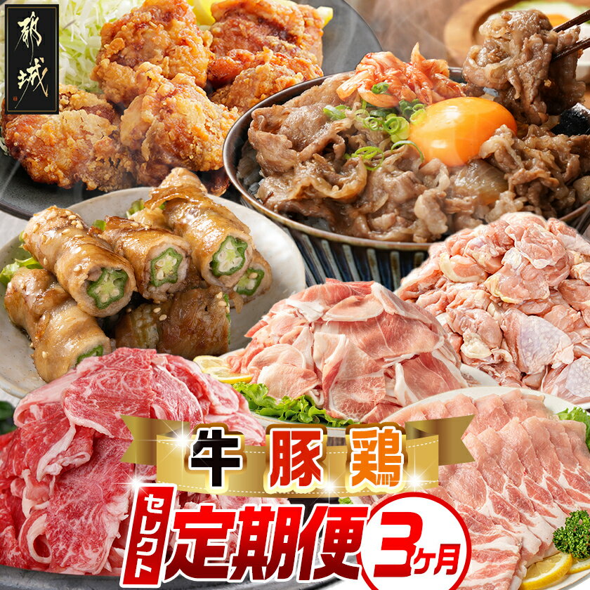 【ふるさと納税】【セレクト定期便】〜牛・鶏・豚定期便(3ヶ月)≪2026年お届け≫ - お肉の定期便 牛肉/豚肉/鶏肉 全3回 家庭料理 お弁当 さまざまなお肉をお届け 詰め合わせセット 毎月届く定期便 冷凍 送料無料 T46-MY01 【宮崎県都城市は2年連続ふるさと納税日本一！】