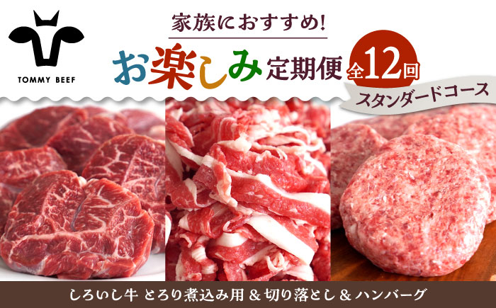 
            【牧場直送】【12回定期便】しろいし牛 家族向け お楽しみ 定期便（スタンダードコース）【佐賀セントラル牧場】佐賀県産 牛肉 お肉 肉 ハンバーグ 切り落とし 炒め物 贅沢 九州 佐賀県 白石町 [IAH211]
          