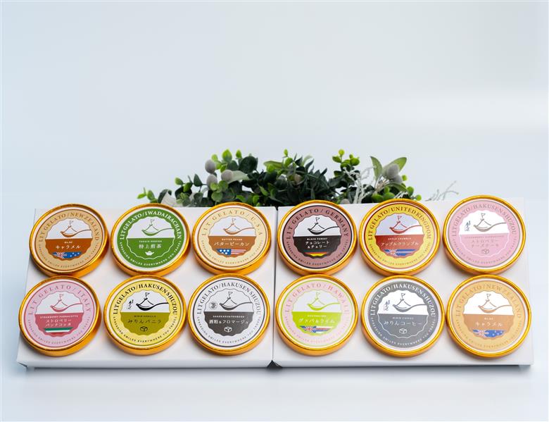 贅沢全フレーバー (個性あふれるフレーバー・定番フレーバー) Lit GELATO 手作りジェラート 12個セット