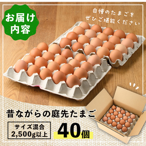 平飼い 昔ながらの庭先たまご 40個 サイズ混合  卵 玉子 【ファームあるむ】A7052