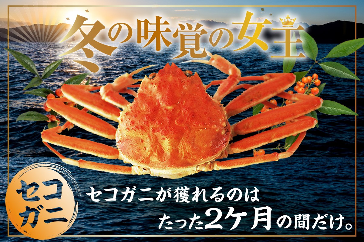 セコガニが獲れるのはたった2ヶ月！冬の味覚の女王と言われる所以です。