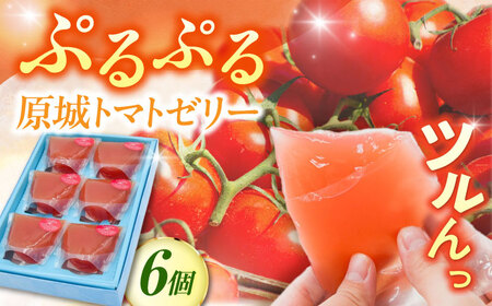 原城トマトゼリー 6個入り / ゼリー ぜりー デザート とまと おやつ / 南島原市 / 松本製菓舗[SFV007]