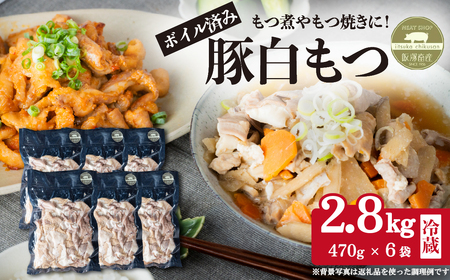  豚白もつ 約2.8kg (約460g×6袋) ボイル済み【 もつ煮 もつ焼き もつ鍋 白もつ 】