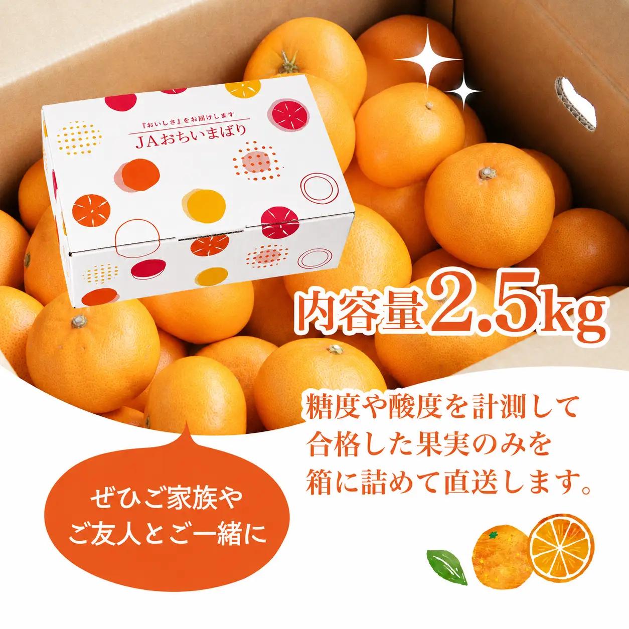 【先行受付】せとか 2.5kg レギュラー箱 みかん 柑橘