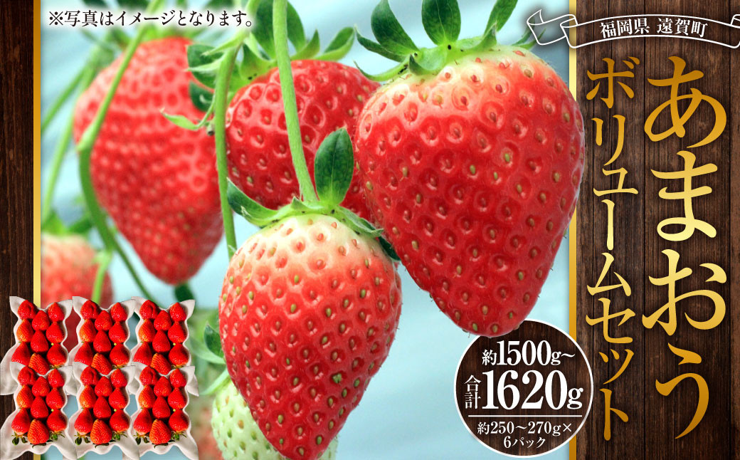 あまおうボリュームセット 6パック 計約1500～1620g あまおう いちご イチゴ 苺 果物 くだもの フルーツ【2027年2月上旬～4月下旬発送予定】