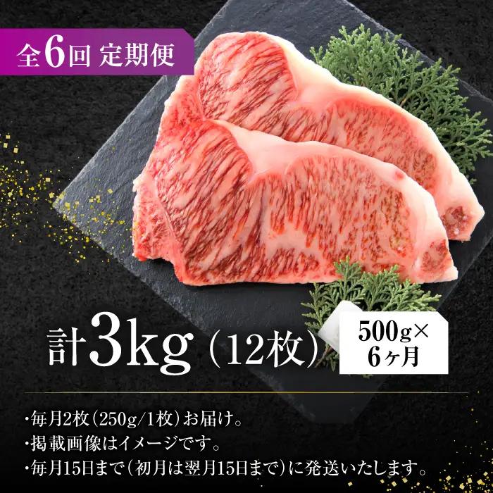【6回定期便】サーロインステーキセット 500g（250g×2枚）  [AFBO007]