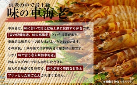 熊本県産 急速冷凍 車海老 1kg(36～52尾) 生食可 瞬間冷凍