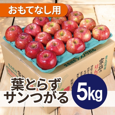 
                  ＜26年9月から順次発送＞平均糖度12度以上! 葉とらずサンつがる 約5kg おもてなし用 青森県産【1734898】
                