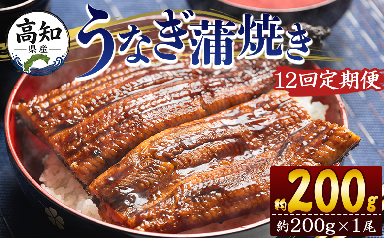 定期便 うなぎ 蒲焼き 約200g １尾 12回 高知県産 養殖 魚介 国産 海鮮 魚 かばやき 鰻 ウナギ 惣菜 おかず お手軽 加工品 加工食品 冷凍 Wfb-0048