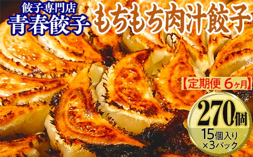 【定期便6ヶ月】餃子専門店青春餃子 もちもち肉汁餃子15個入り×3パック 45個（計270個）